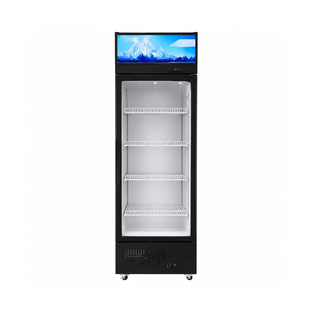 Single-Door Display Cabinet