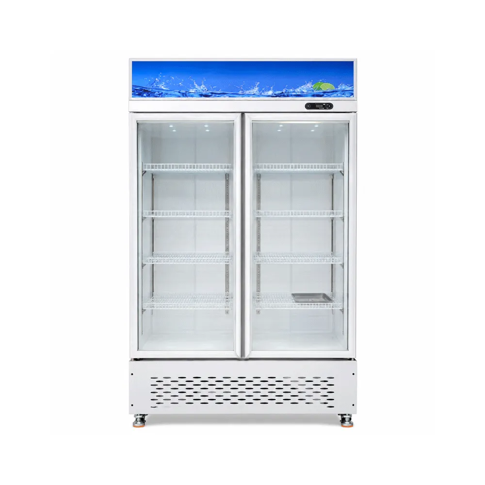 Double-Door Display Cabinet