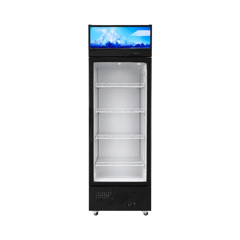 Single-Door Display Cabinet