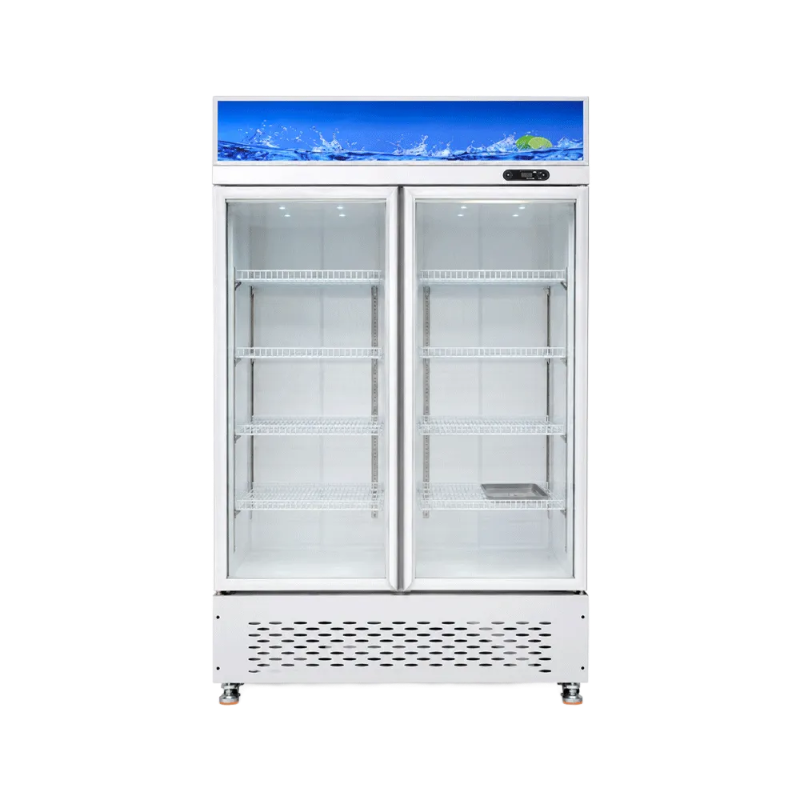Double-Door Display Cabinet