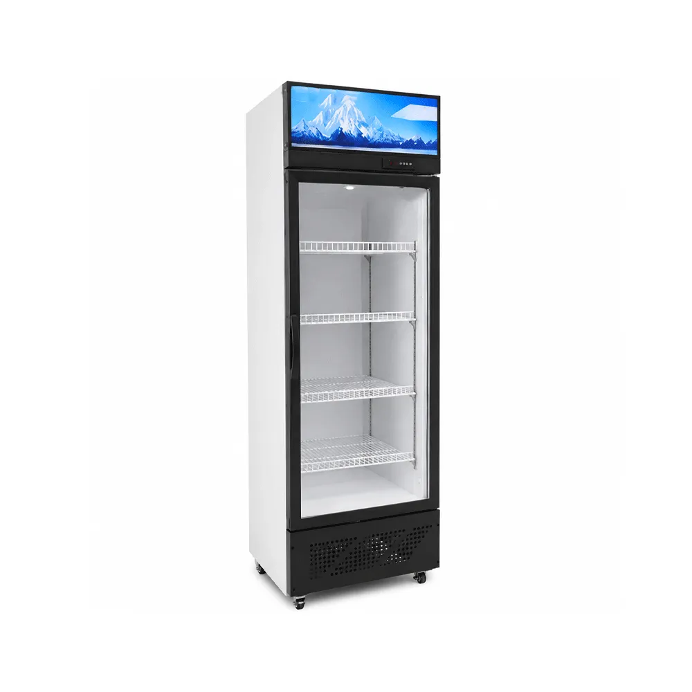 Single-Door Display Cabinet