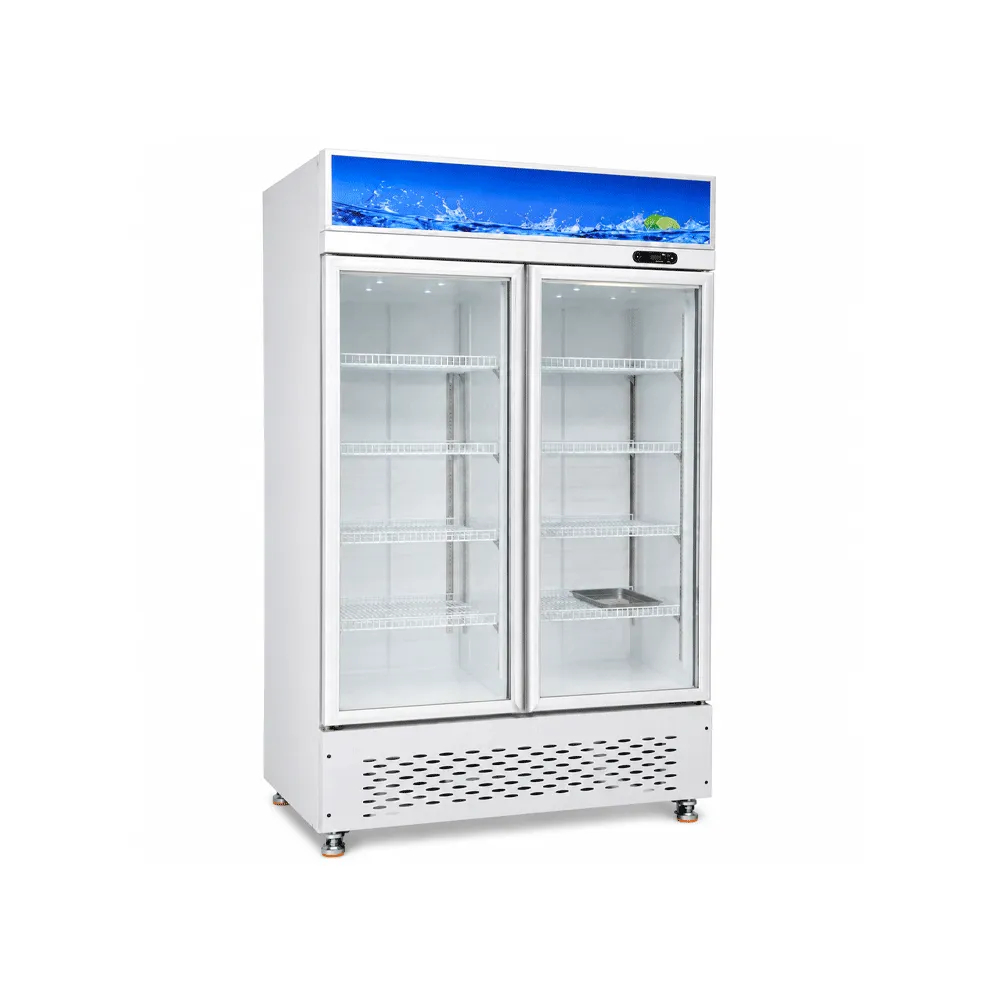 Double-Door Display Cabinet