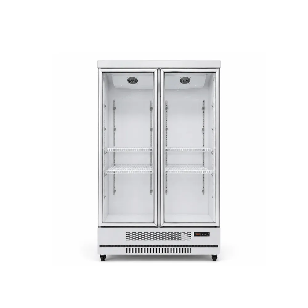 Flat-Top Double-Door Display Cabinet