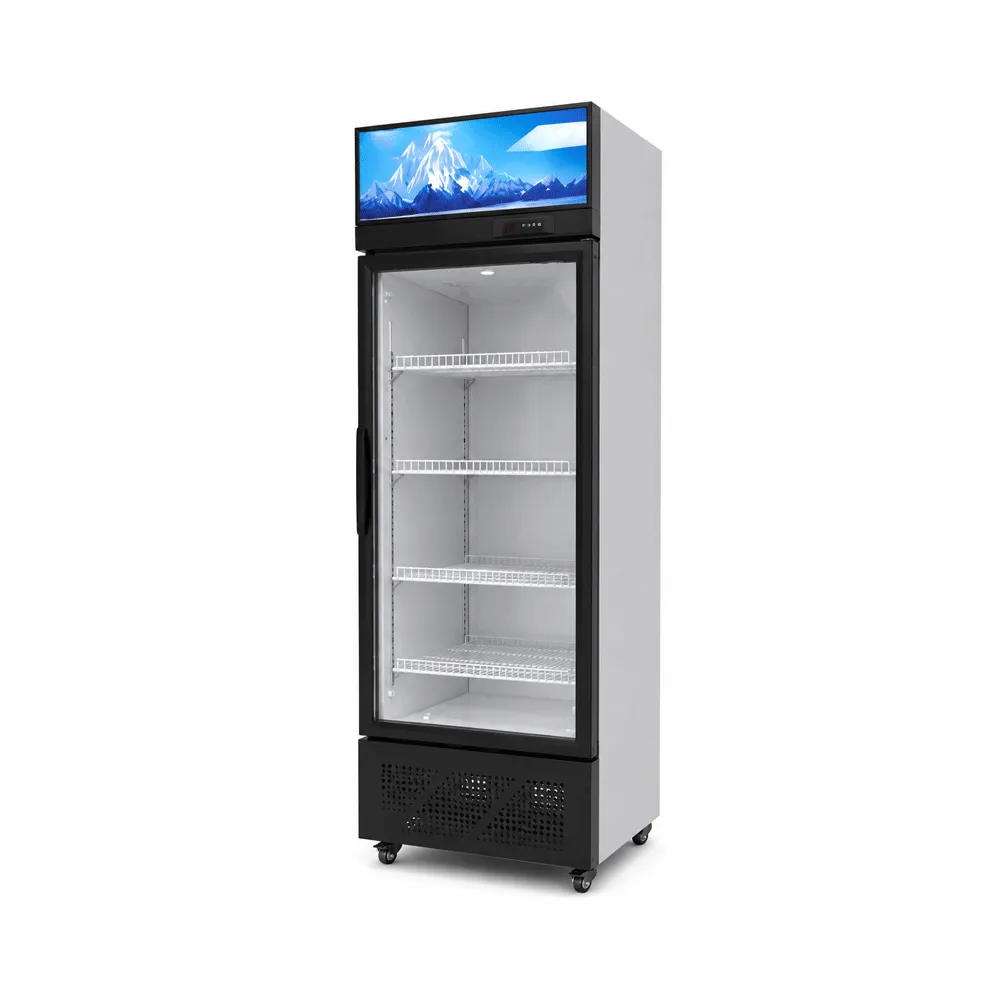 Single-Door Display Cabinet