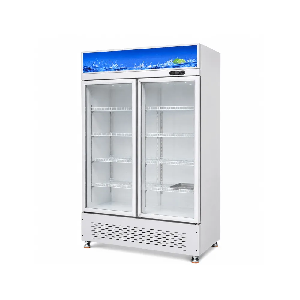Double-Door Display Cabinet
