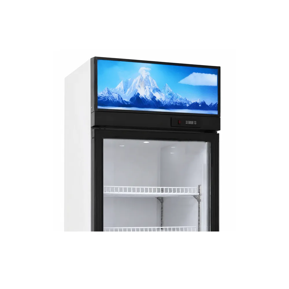 Single-Door Display Cabinet