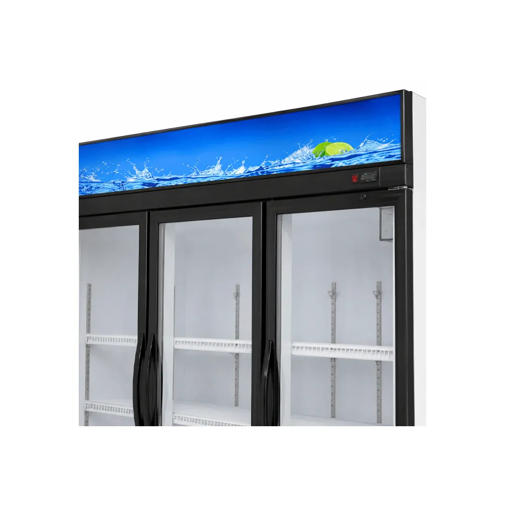 Three-Door Display Cabinet