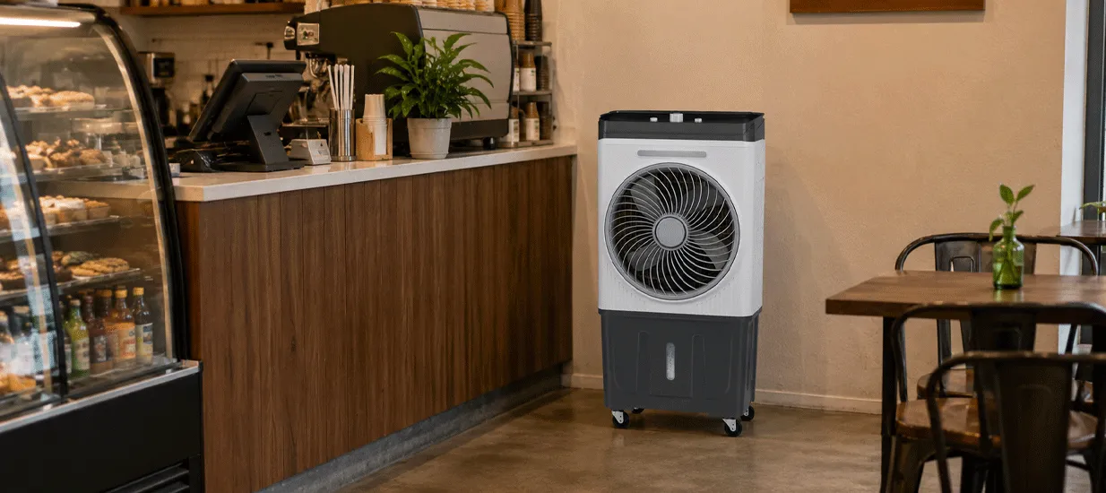25L Small AC DC air cooler fan
