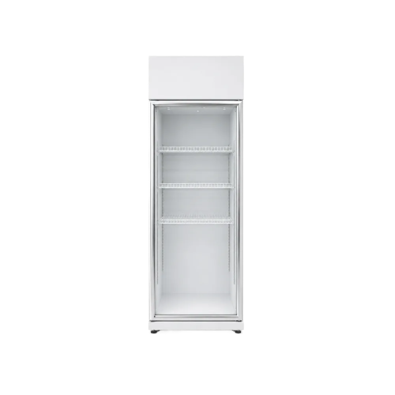 Commercial Single-Door Display Cabinet